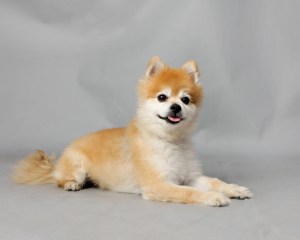 the berto - glamour3