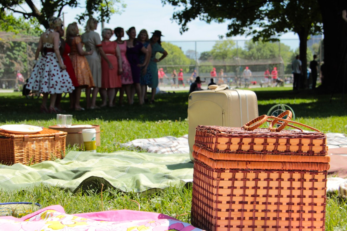 The TVS Pin Up&nbsp;Picnic