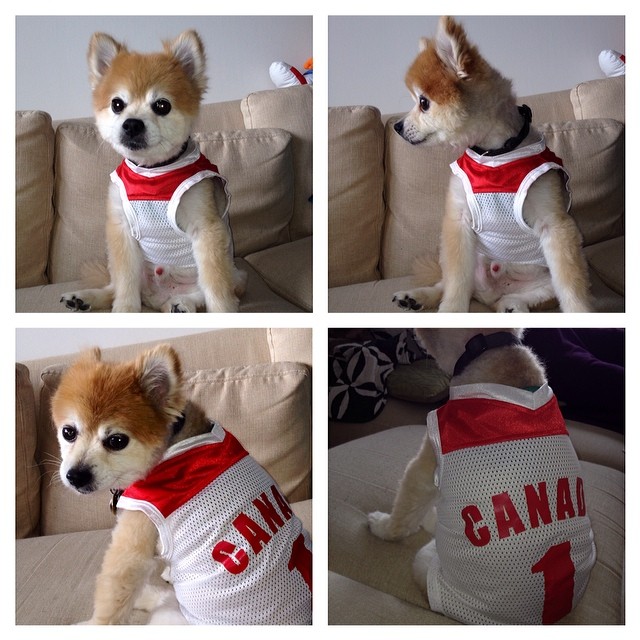 1010990_10151993120839072_291410436_n