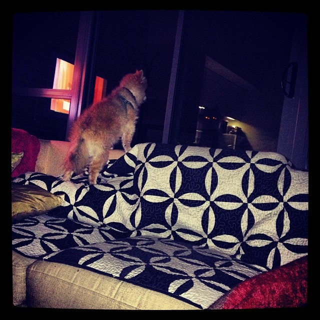 1546339_10151891753174072_2016016802_n