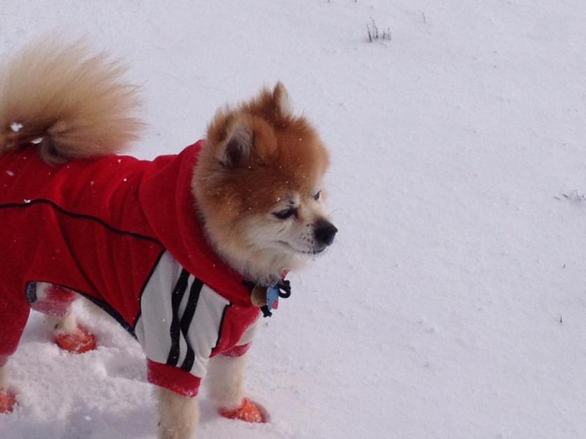 484811_10151262921804072_693946312_n