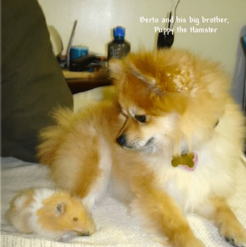 Screen Shot 2014-08-06 at 6.49.36 PM