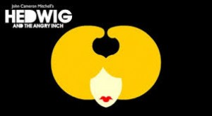 hedwig-300x164