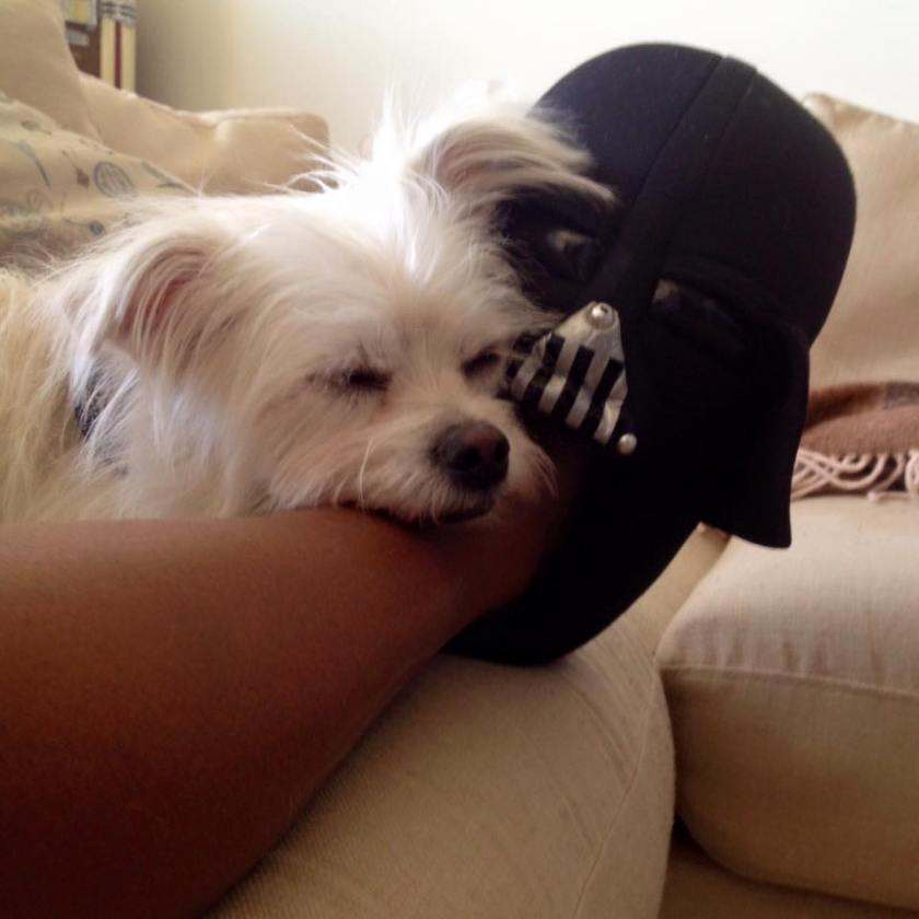 12963399_10153616492839072_8213176231058325570_n