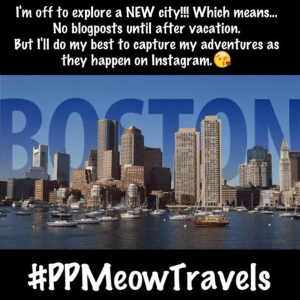 Screen Shot 2016-07-23 at 3.26.06 PM