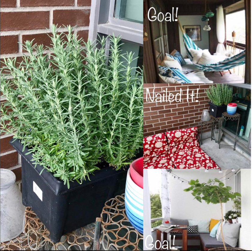 Screen Shot 2017-08-04 at 2.36.23 PM